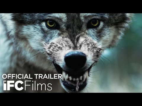 Out Come the Wolves - Official Trailer | HD | IFC Films