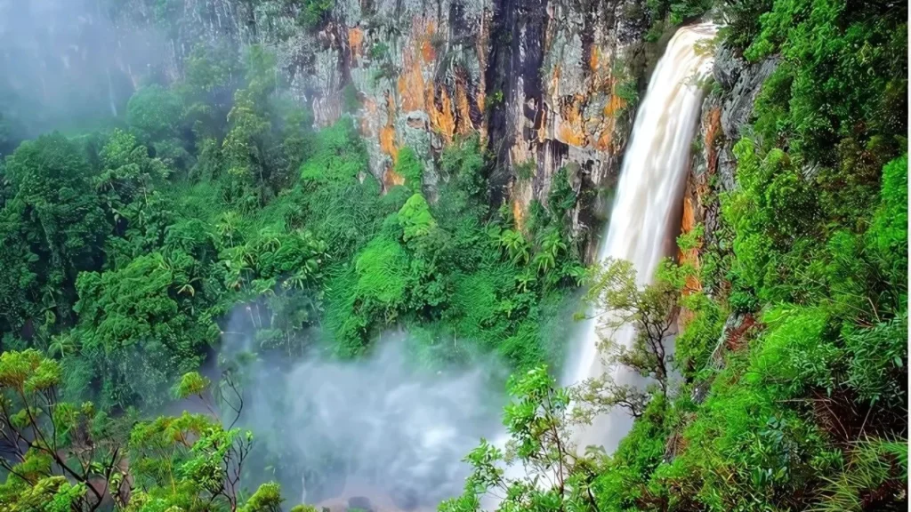 I'm a Celebrity, Get Me Out of Here! Filming in Queensland, Australia (Dungay Creek, Springbrook National Park)